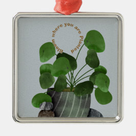 Adorno Metálico Minimalist Money Plant - Premium Square Ornament