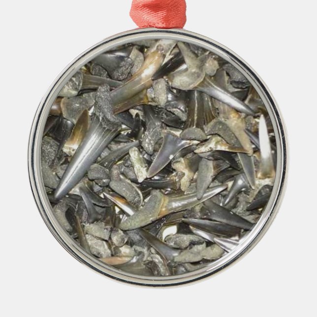 Adorno Metálico Modelo fósil de los dientes del tiburón (Frente)