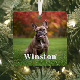 Adorno Metálico Modern Custom Pet Name Photo Holiday