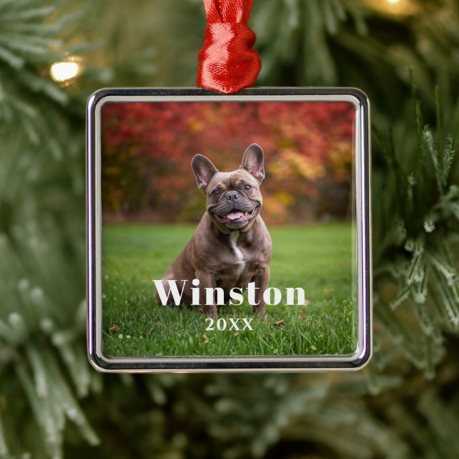 Adorno Metálico Modern Custom Pet Name Year Photo Holiday (Árbol)