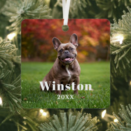 Adorno Metálico Modern Custom Pet Name Year Photo Holiday