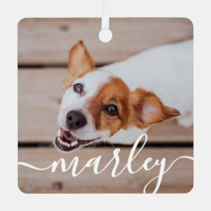 Adorno Metálico Moderna, sencilla y elegante foto de Mascota de Mo