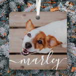 Adorno Metálico Moderna, sencilla y elegante foto de Mascota de Mo<br><div class="desc">Este diseño sencillo y clásico está compuesto por tipografía de la síspera y añada una foto personalizado de su mascota.</div>