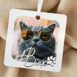 Adorno Metálico Moderno y sencillo nombre y foto de gato en Guay<br><div class="desc">Este diseño sencillo y moderno se compone de una tipografía de escritura moderna y sencilla. Añadir la foto del mascota personalizado de su gato o gatito</div>