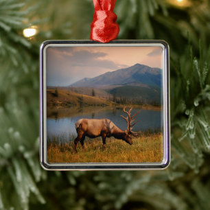 Adorno Metálico Montañas   Jacques Mountain Range Alberta Canadá