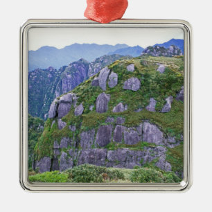 Adorno Metálico Monte Nagata, Yakushima, Kagoshima, Japón