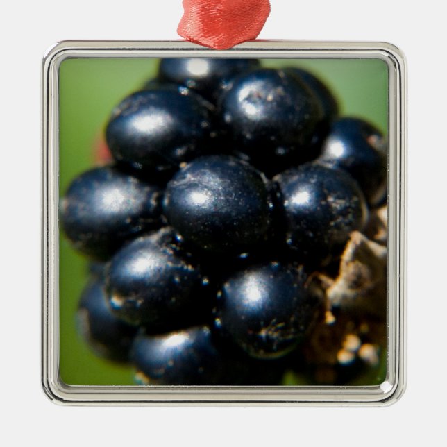 Adorno Metálico Moras (Frente)