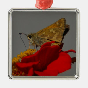 Adorno Metálico Moth