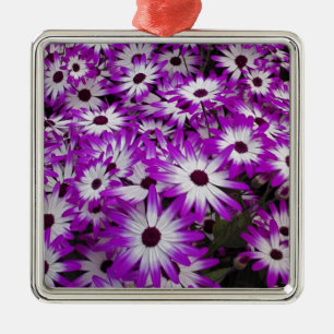 Adorno Metálico Motivo de las flores, Kuekenhof Gardens, Lisse,