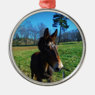 Adorno Metálico Muela marrón y blanca