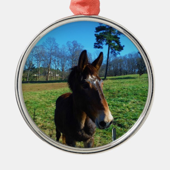 Adorno Metálico Muela marrón y blanca (Frente)