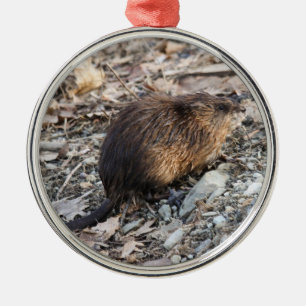 Adorno Metálico Muskrat