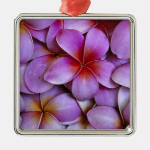 Adorno Metálico N.A., EE. UU., Maui, Hawái. Flores de Plumeria ros