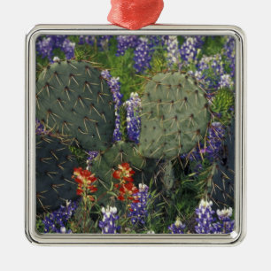 Adorno Metálico N.A., EE. UU., Texas, Cactus rodeado de