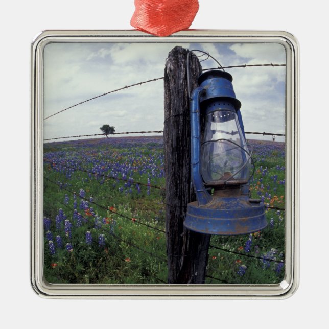 Adorno Metálico N.A., EE.UU., Texas, Llano, Blue Lantern, Oak tree (Frente)