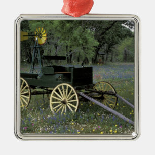 Adorno Metálico N.A., los E.E.U.U., Tejas, Devine, carro viejo y