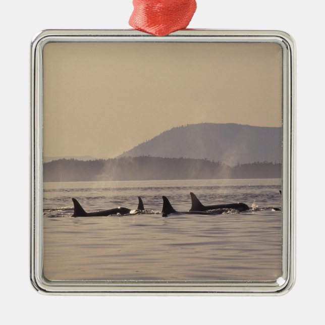 Adorno Metálico N.A., orca de los E.E.U.U., Washington, islas de (Frente)
