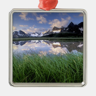 Adorno Metálico NA, Canadá, Alberta, Valle de Tonquin. Jasper