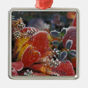 Adorno Metálico NA, EE.UU., Alaska, Denali NP Frosted, color ocaso