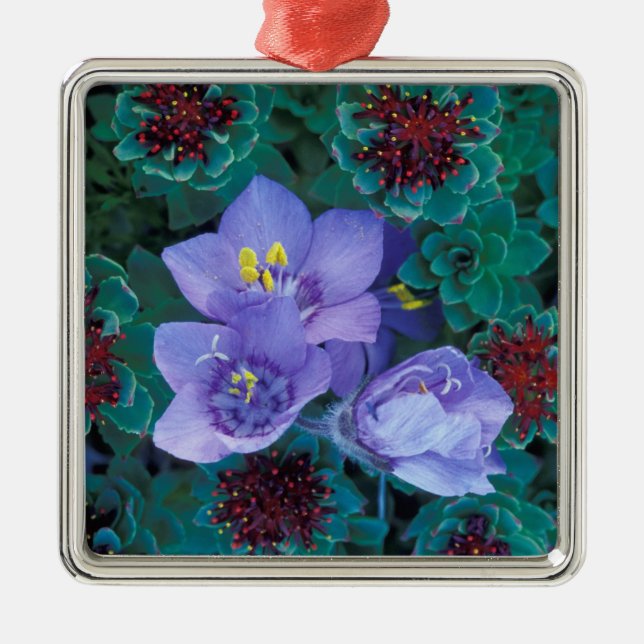 Adorno Metálico NA, EE.UU., Alaska, Islas Aleutianas, Flores silve (Frente)