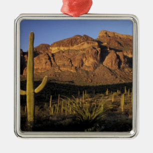 Adorno Metálico NA, EE.UU., Arizona. Cactus National 2