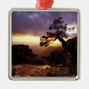 Adorno Metálico NA, EE.UU., Arizona, Tucson, Sunset y solitario