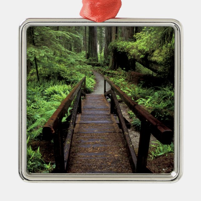 Adorno Metálico NA, EE.UU., California, Jedidiah Smith Redwood (Frente)