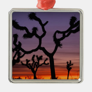 Adorno Metálico NA, EE. UU., California. Joshua Tree National