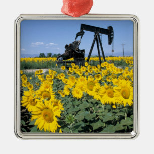 Adorno Metálico Na, EE.UU., Colorado, Sunflower, Oil Derrick