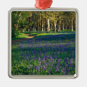 Adorno Metálico NA, EE.UU., Oregón, Salem. Campo y 3