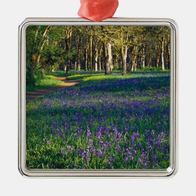 Adorno Metálico NA, EE.UU., Oregón, Salem. Campo y 3 (Frente)