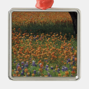 Adorno Metálico NA, EE.UU., Texas, Hill Country, Paint cepillo y