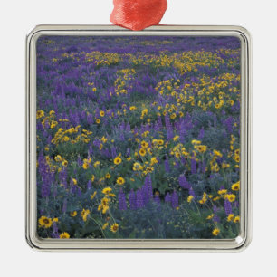 Adorno Metálico NA, EE.UU., Washington Dalles, Lupine y