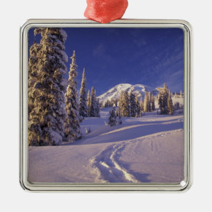 Adorno Metálico NA, EE.UU., Washington, Monte Rainier NP, Snowshoe