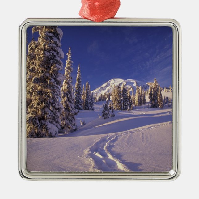 Adorno Metálico NA, EE.UU., Washington, Monte Rainier NP, Snowshoe (Frente)