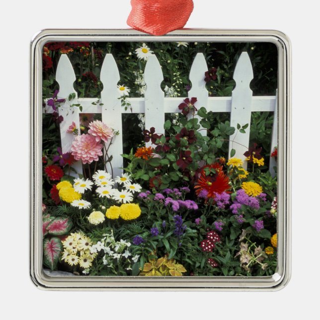 Adorno Metálico NA, EE.UU., Washington, Sammamish, piquete blanco (Frente)