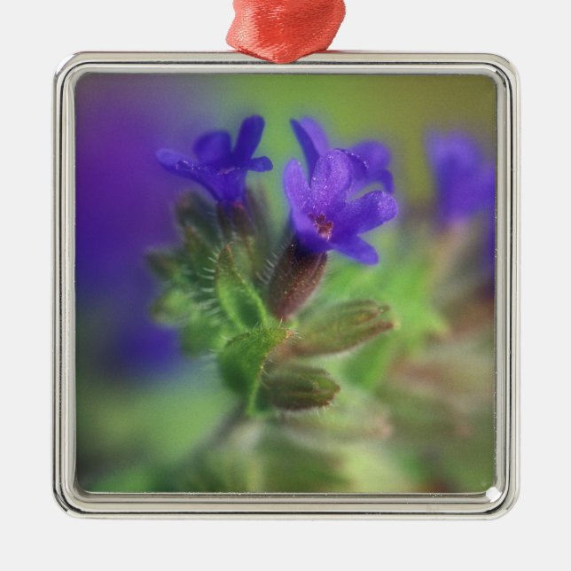 Adorno Metálico NA, EE.UU., Washington, Washington Oriental. Salva (Frente)