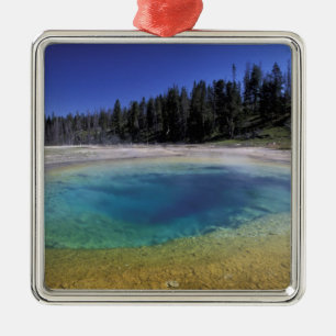 Adorno Metálico NA, EE. UU., Wyoming, Parque Nacional Yellowstone.