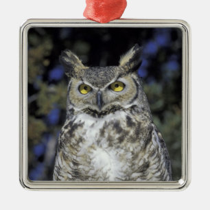 Adorno Metálico NA, Estados Unidos, Nuevo México, Wildlife West Na