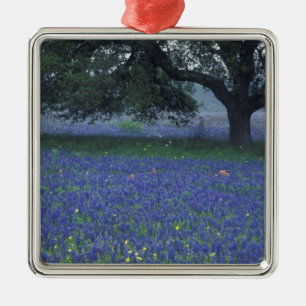 Adorno Metálico NA, Texas, Devine, Roble y bonetes azules
