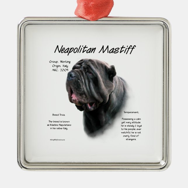 Adorno Metálico Napolitano Mastiff (blk) Diseño de Historia (Frente)