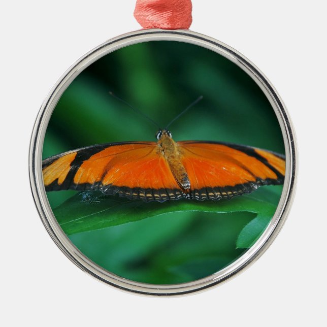 Adorno Metálico Naranja brillante y mariposa negra en hoja (Frente)
