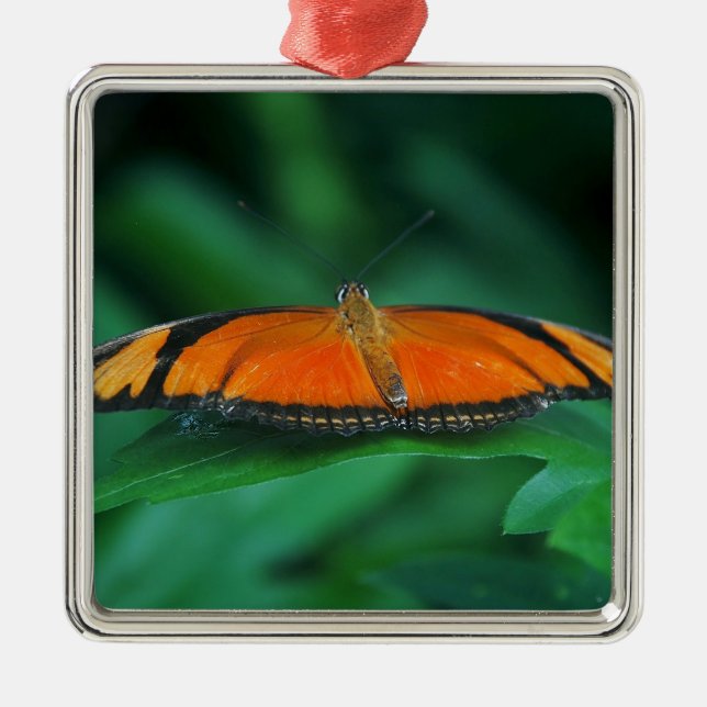 Adorno Metálico Naranja brillante y mariposa negra en hoja (Frente)