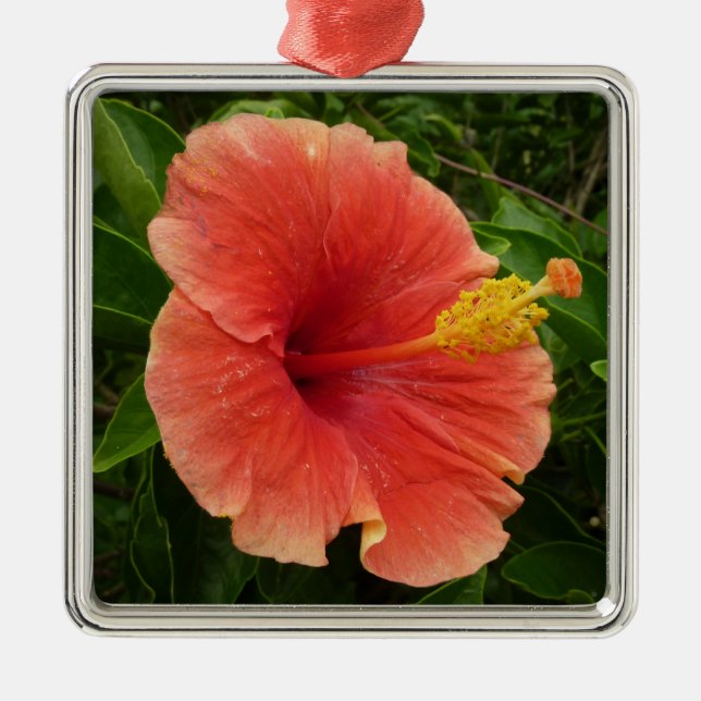 Adorno Metálico Naranja Hibiscus Flower Tropical Floral (Frente)