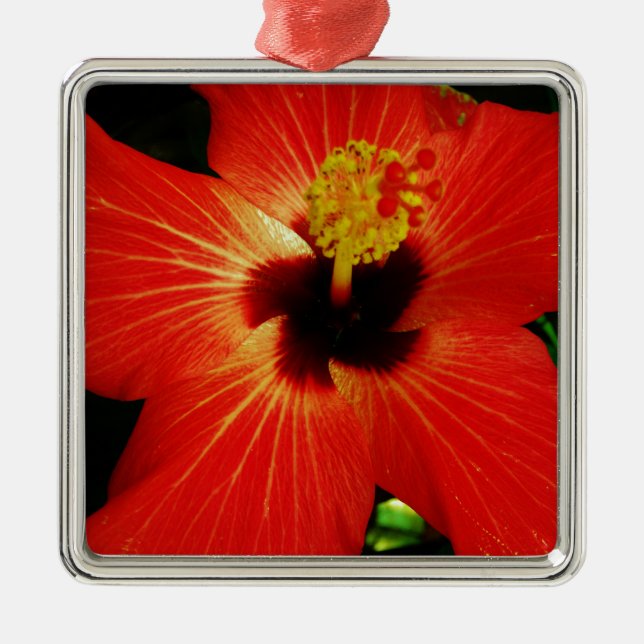 Adorno Metálico Naranja rojo brillante Hibiscus Flower (Frente)
