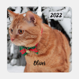 Adorno Metálico Naranja Tabby Cat en la nieve