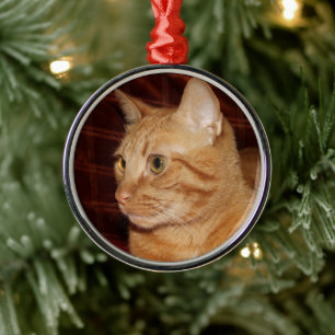 Adorno Metálico Naranja Tabby Cat Face Profile