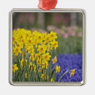 Adorno Metálico Narcisos y jacintos de uva, Keukenhof