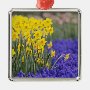 Adorno Metálico Narcisos y jacintos de uva, Keukenhof 3