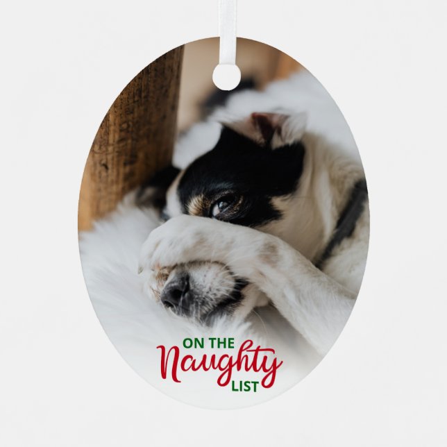 Adorno Metálico Naughty Nice List 2 Photo Dog